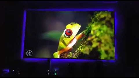 ALR Zero Edge Projection Screen for Long Throw Projector