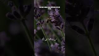 Surah Hajj Translation in Urdu | Quran Translation