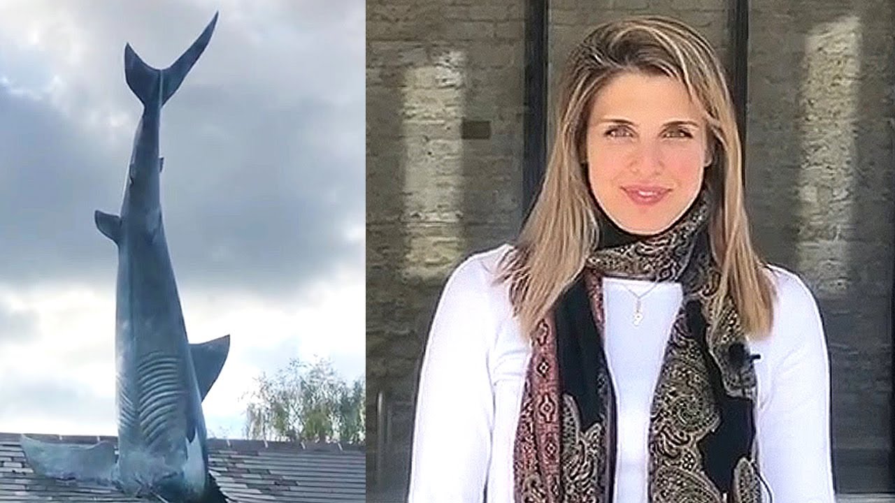 The Headington Shark - Oxford