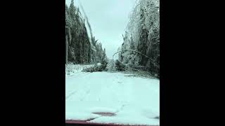 Ice storm Michigan 2025 NO POWER day 7 no end in sight #icestorm #storm #poweroutage #devastation
