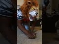 Hyde and Eek Target Lion Mask