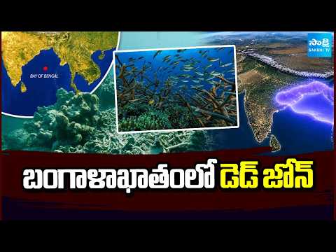 బంగాళాఖాతంలో డెడ్ జోన్ | Dead zone in the Bay of Bengal | Sakshi TV - SAKSHITV