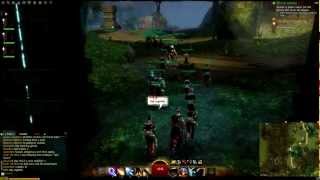 Guild Wars 2 - Final Event BWE3