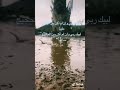 لبيك ربي وإن لم أكن بين الزحام ملبيا لبيك ربي وإن لم أكن بين الحجيج ساعيا 