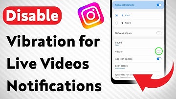 How To Disable Vibration for Live Videos Notifications on Instagram (Updated)