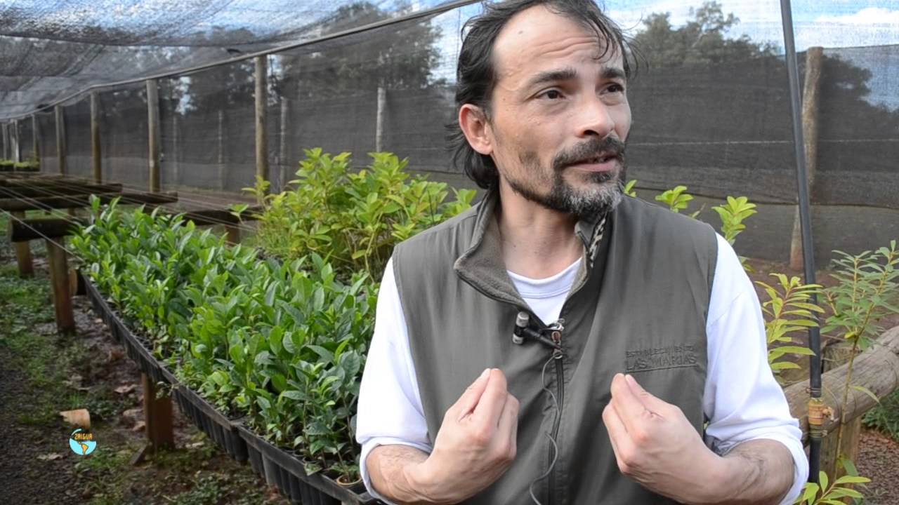 Zaigua - Establecimiento Las Marías