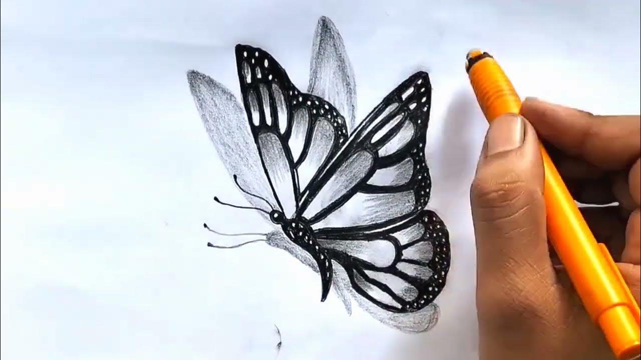 easy to draw butterfly sketch Titli kaise banayen drawing art 