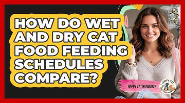 How Do Wet And Dry Cat Food Feeding Schedules Compare? - Happy Cat Handbook