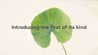 The Evolution of RIMAN | The Science Behind Korean Skincare Innovation