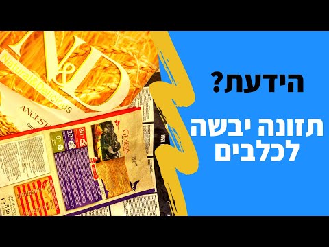 וִידֵאוֹ: מזון טבעי לכלבים: האם זה טוב יותר?