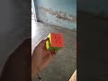 fastest cube solving #viral #rubikscube