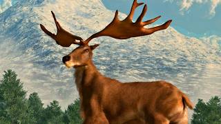 Did Huge Antlers Kill the Irish Elk?