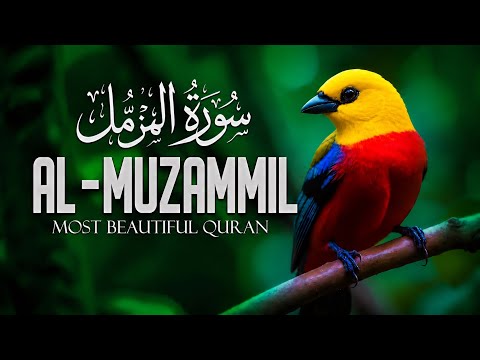 Calm recitation of Surah Al-Muzzammil (Enshrouded One) سُورَةُ الْمُزَّمِّلِ | blessed & peace ✨