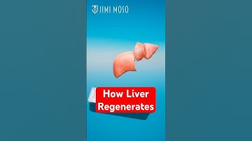 How Your Liver Regenerates If You Donate Partially  #medical #organdonation