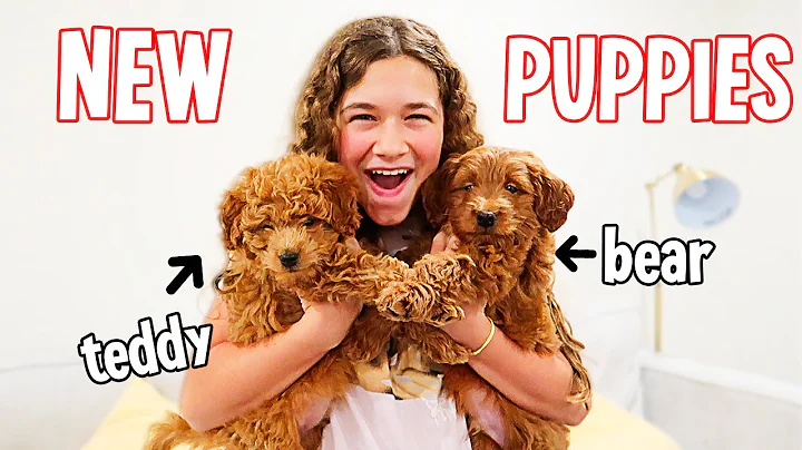WE SURPRISED OUR KIDS WITH PUPPIES!! | JKREW