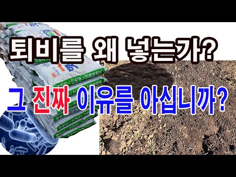 퇴비를 왜 넣는가? 그 진짜 이유를 아십니까? 이외로 잘못 아시는 분 많으세요( 퇴비 역할, 좋은 토양 이란, 탄질율, 미생물 역할, 토양과 미생물, 이런 퇴비는 넣지 말아야)