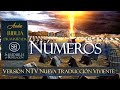 EL LIBRO DE NÚMEROS 📘✅✅✅ BIBLIA NTV DRAMATIZADA�