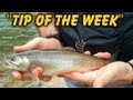 5 Cool Fishing Related Tips - "Tip Of The Week"