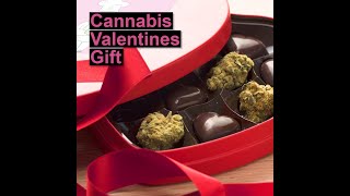 Surprise your Valentine with these cannabis chocolates | CANNADISH