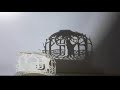 切り絵『生命の樹』メーキングビデオ "L'albero della vita" Making video