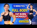 Full Body Fat Loss Home Workout | Weight Loss Exercises at Home in 7 Days