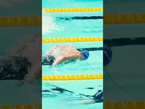 The Calm Within: <strong>Swim</strong> Like <strong>Water</strong>, Move Like Art 🧘💦