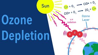 Ozone Depletion And Cfcs Free Radical Breakdown Of O3 Into O2