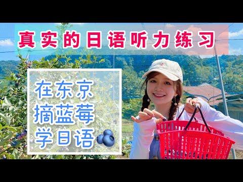 【真实的日语听力练习+vlog】跟我在东京边摘蓝莓边学实用地道的日语吧！〜ブルーベリー狩りに行ってきました🫐〜