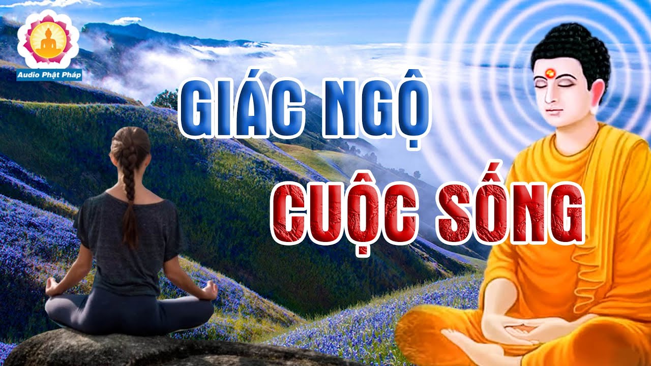 Outline Video Đêm Nghe Lời Phật Kể Câu Chuyện Về Cuộc Sống Thức Tỉnh Thế Nhân