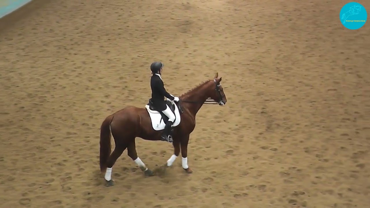 Грицюк Яна и Фасцино, предварительный приз дети B (любители). 1 место.Кубок КСК Дарнис, 18-02-2023.