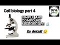 Microscopy 🔬. Simple and compound microscope 👉 In detail