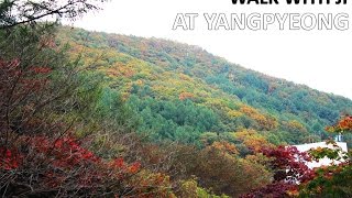 Walk With Ji at Yangpyeong (Family Trip Pt  1)