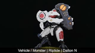 2025 Q4 - 074 Riptide