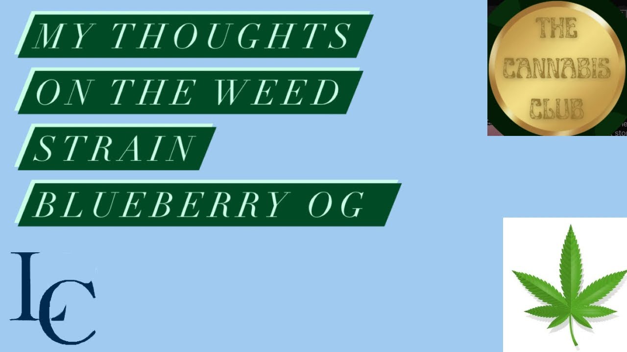 My thoughts on the blueberry OG weed strain