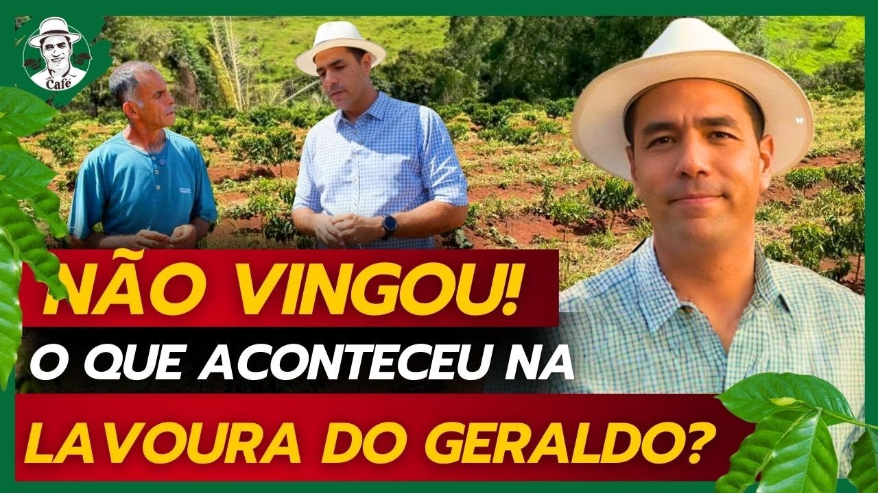 Um erro comum que afeta muitos cafeicultores