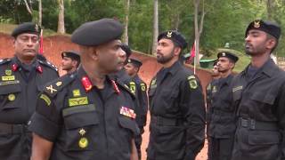 Special Forces Salute Their Colonel Of The Regiment In Special Ceremony