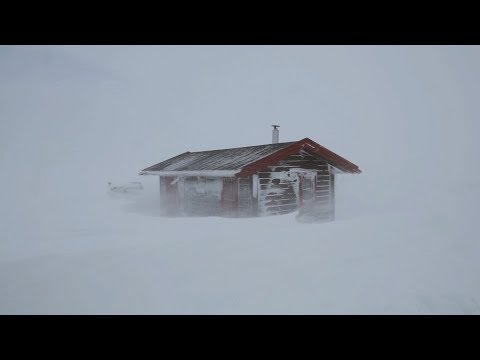 Heavy Blizzard Storm at Night┇Howling Wind \u0026 Blowing Snow┇Sounds for Sleep, Study \u0026 Relaxation