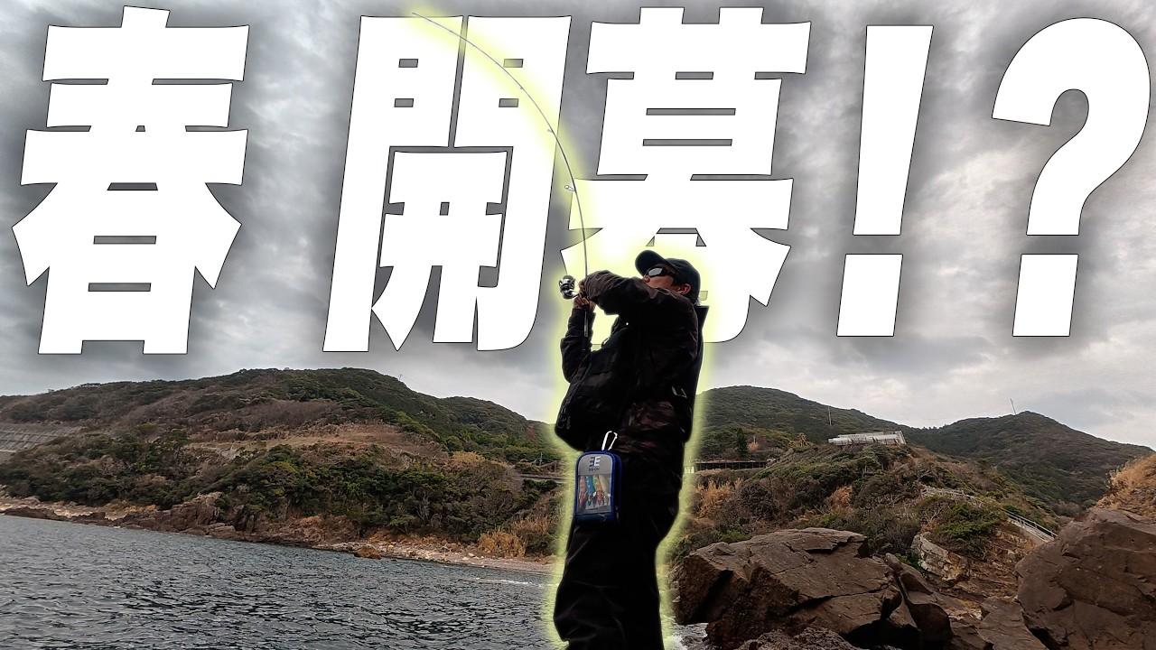 【天草】ついに熊本にもエギングシーズン到来！？