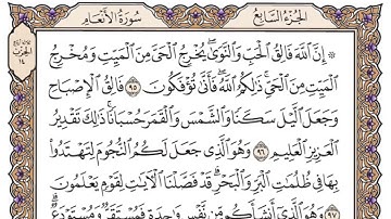 سورة الأنعام الصفحة 140 من القرآن للشيخ ياسر