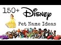 150+ Disney Pet Name Ideas
