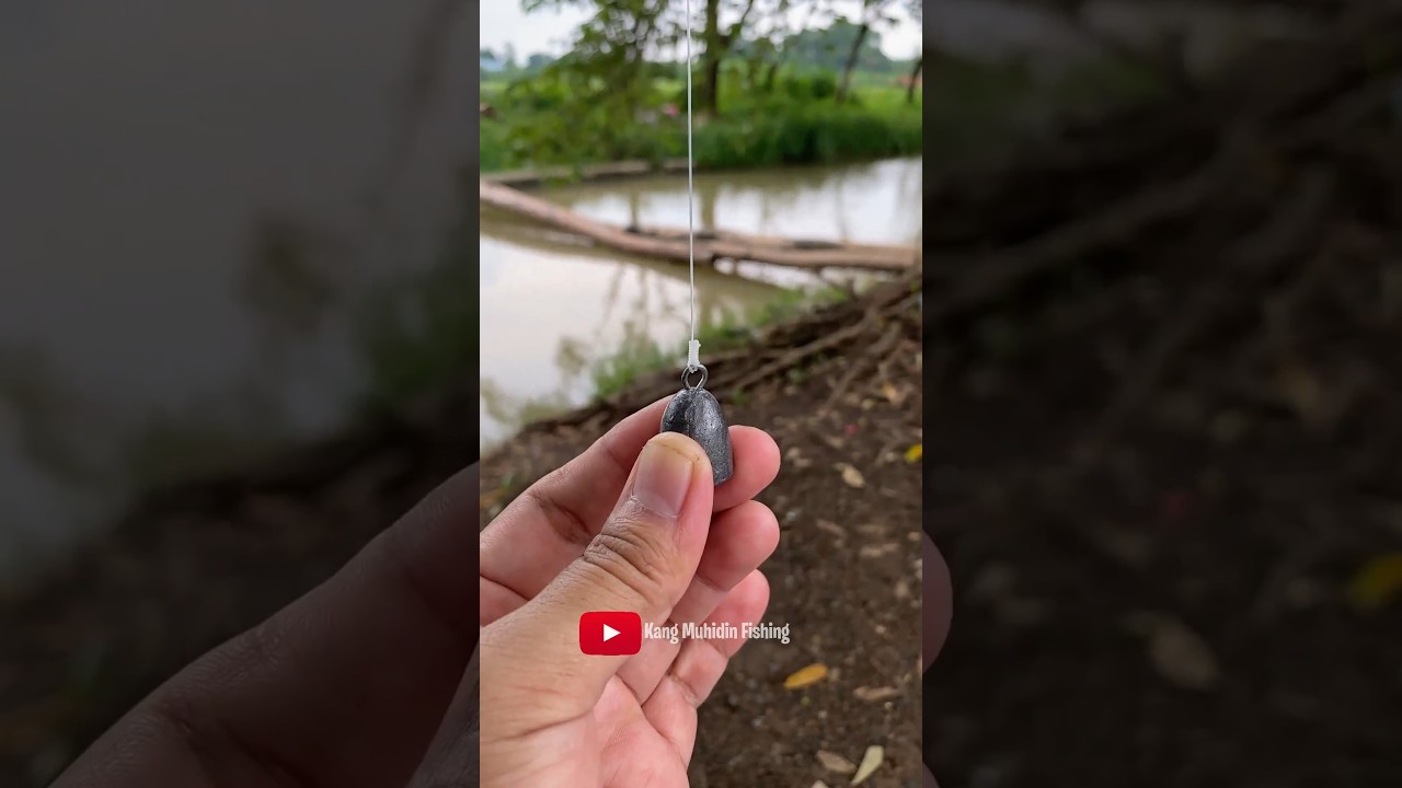 RIG FISHING DIY The secret of fisherman Fishing Knot skills #fishing #fishingknot #diy #tutorial