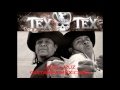Guitarra mexicana-Tex Tex-José Cruz