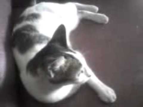 UCING!! GERING