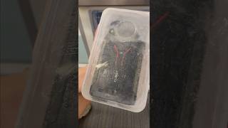 Cubot KingKong AX Freeze Test 12 hours! Will it Survive? #shorts