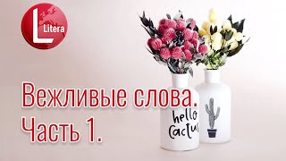 Урок вежливости | Как сказать Добрый день и До свидания на польском | Что такое  Siema и Elo