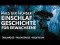 Die Seele des Waldes | Einschlafmeditation für inneren Frieden