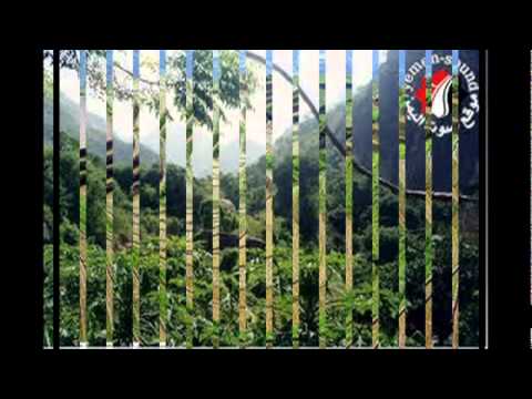 يارياح الشرق