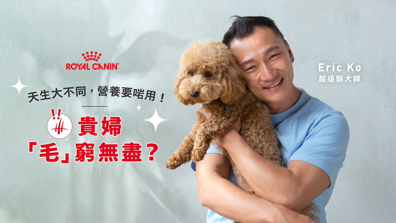 天生大不同，營養要啱用：貴婦「毛」窮毛盡？