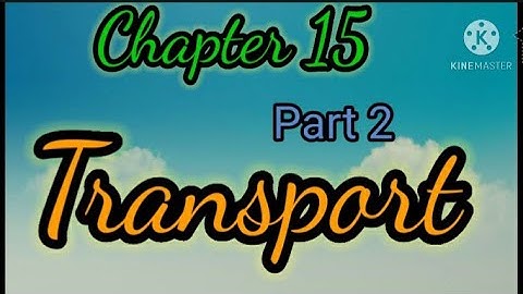 E.V.S Chapter 15 (Transport) Part 2