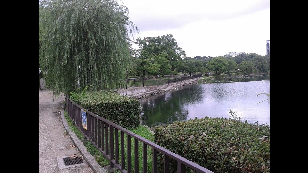 一首歌(Version 2) / 作曲、作詞、編曲：Keith So